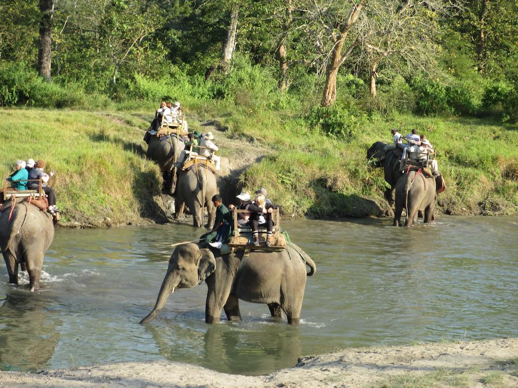 Temple Tiger Green Jungle Resort Kawasoti ภายนอก รูปภาพ