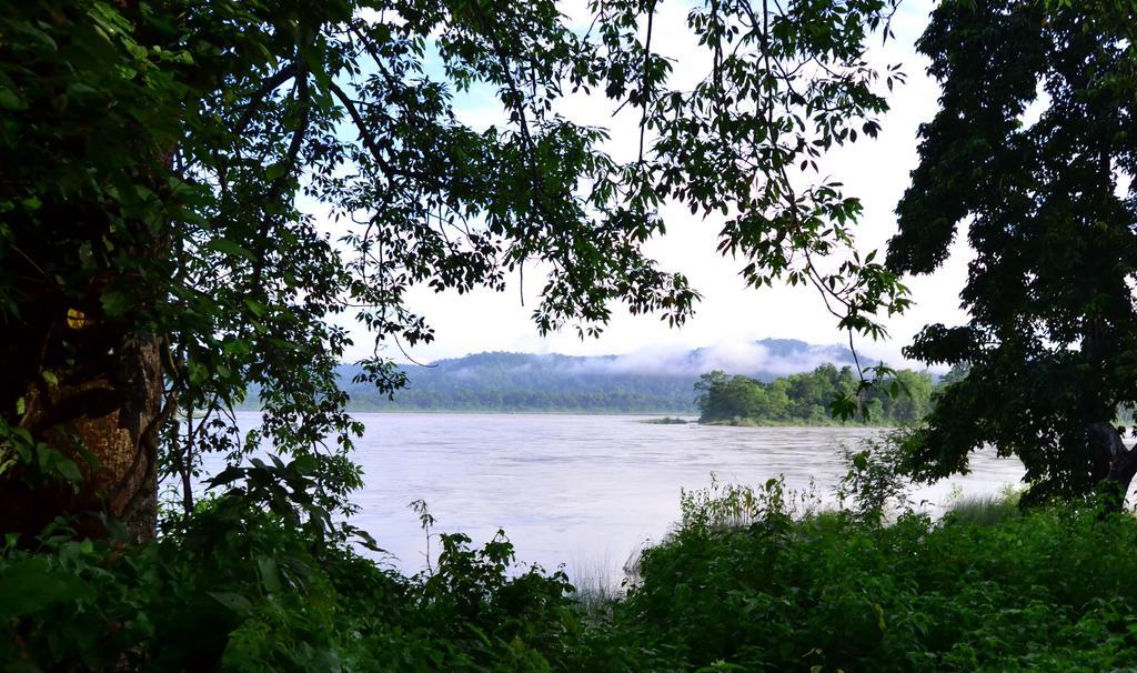Temple Tiger Green Jungle Resort Kawasoti ภายนอก รูปภาพ