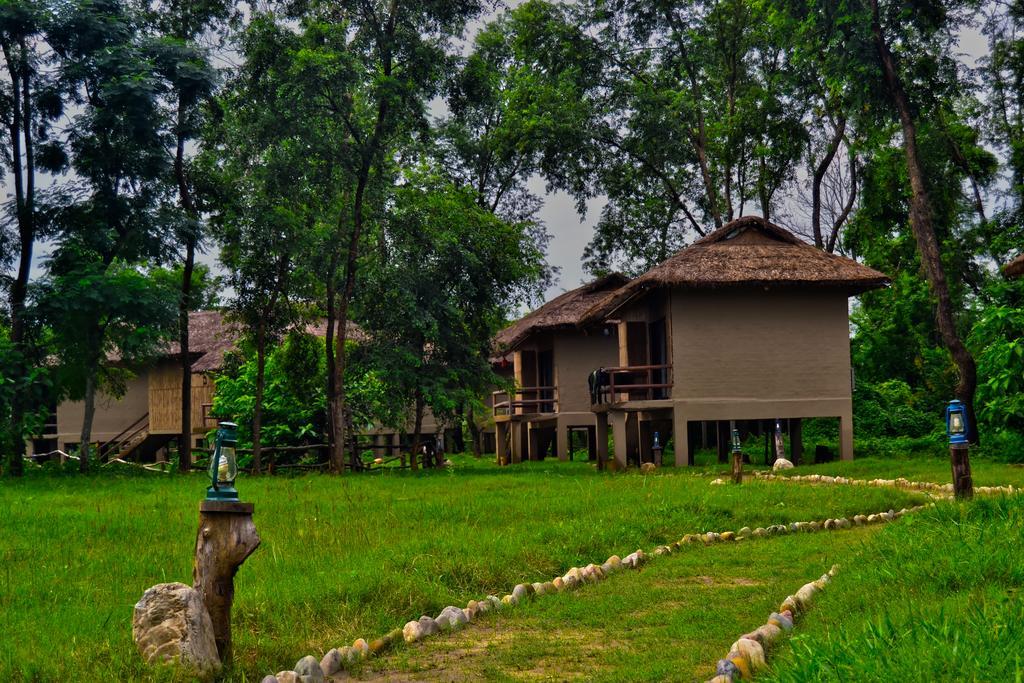 Temple Tiger Green Jungle Resort Kawasoti ภายนอก รูปภาพ