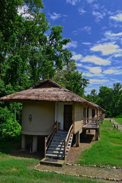 Temple Tiger Green Jungle Resort Kawasoti ห้อง รูปภาพ