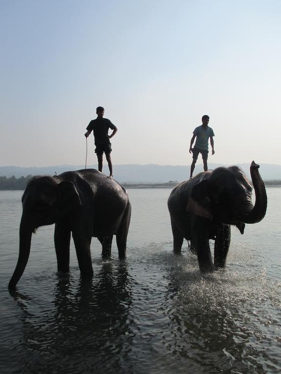 Temple Tiger Green Jungle Resort Kawasoti ภายนอก รูปภาพ